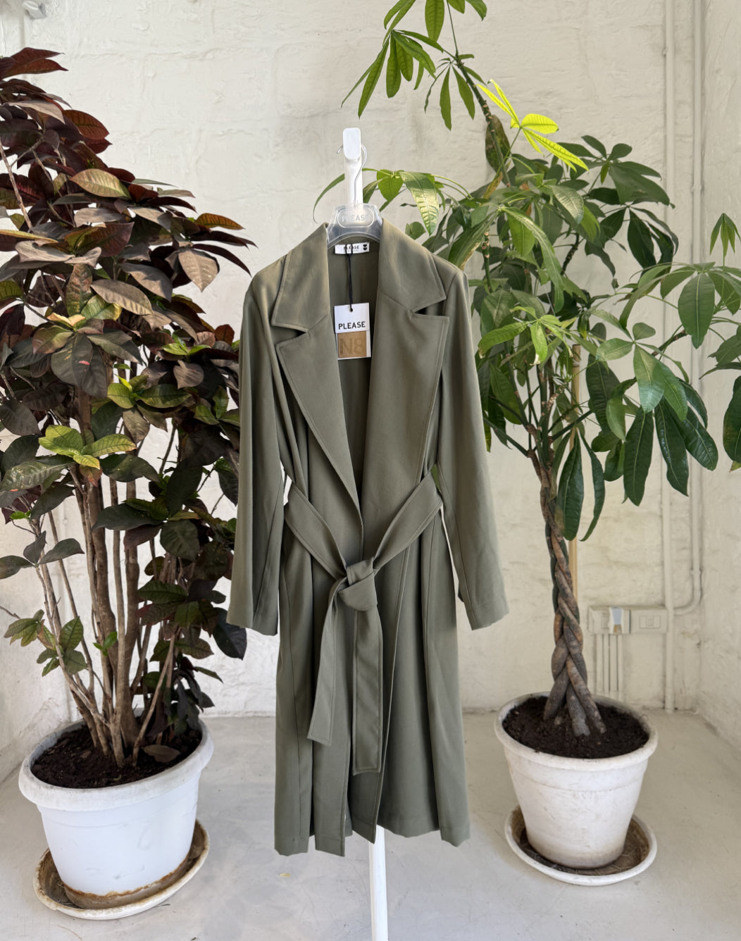 VERDE