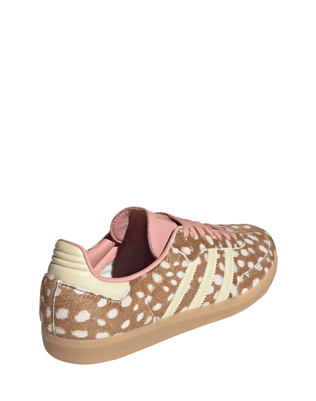MULTICOLOR
