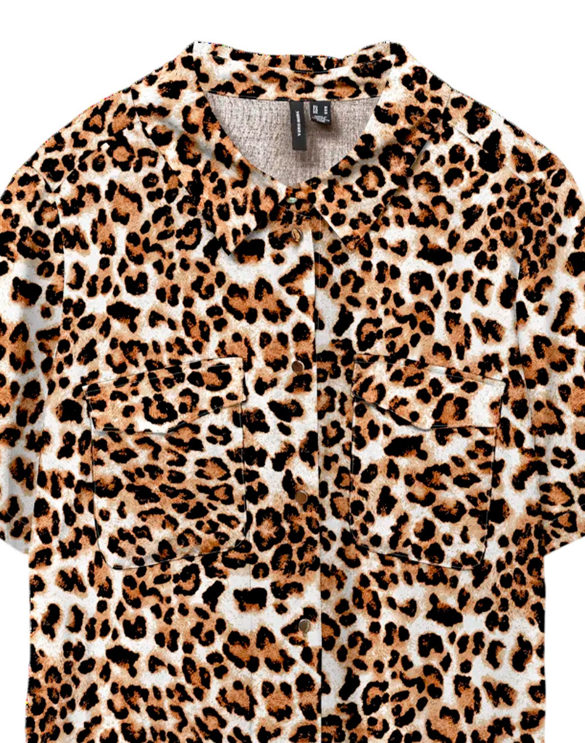 MARRONE
