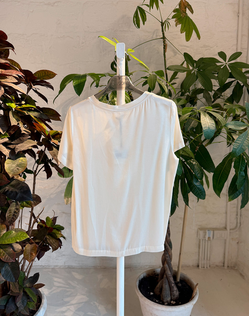 BIANCO