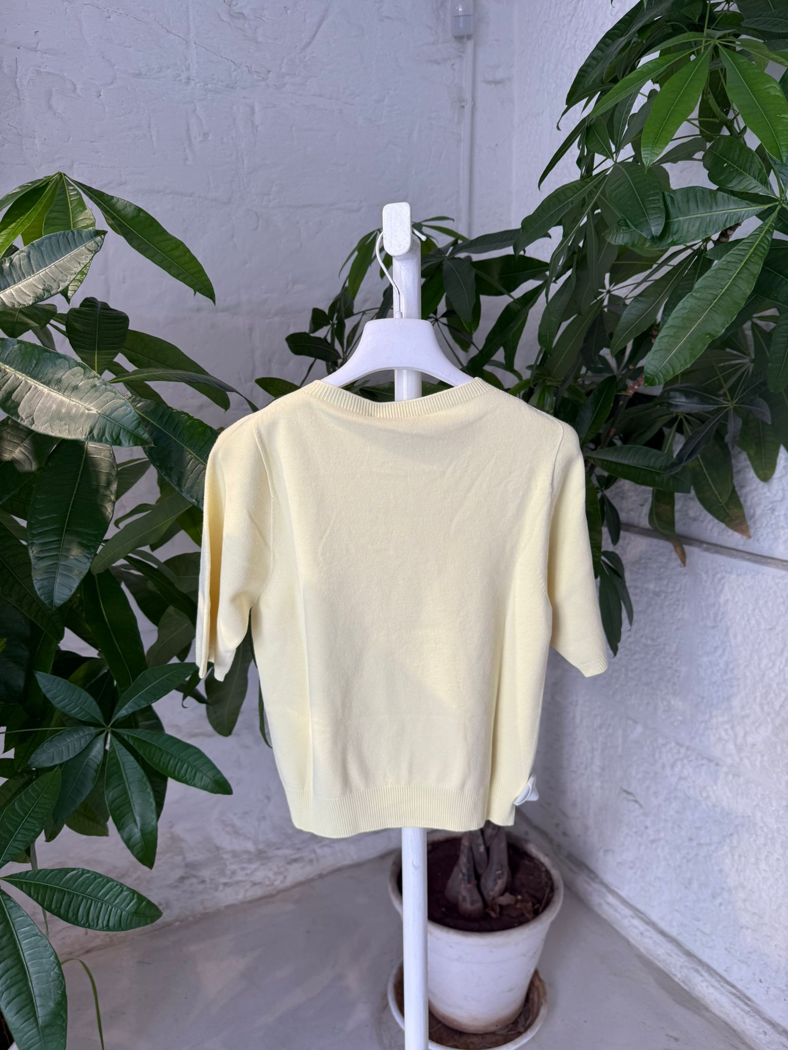 GIALLO