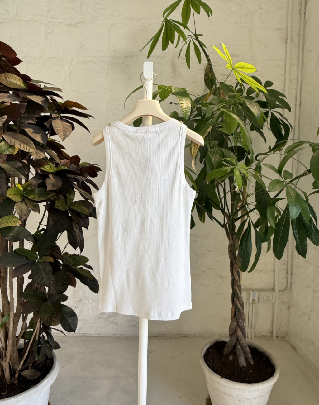 BIANCO