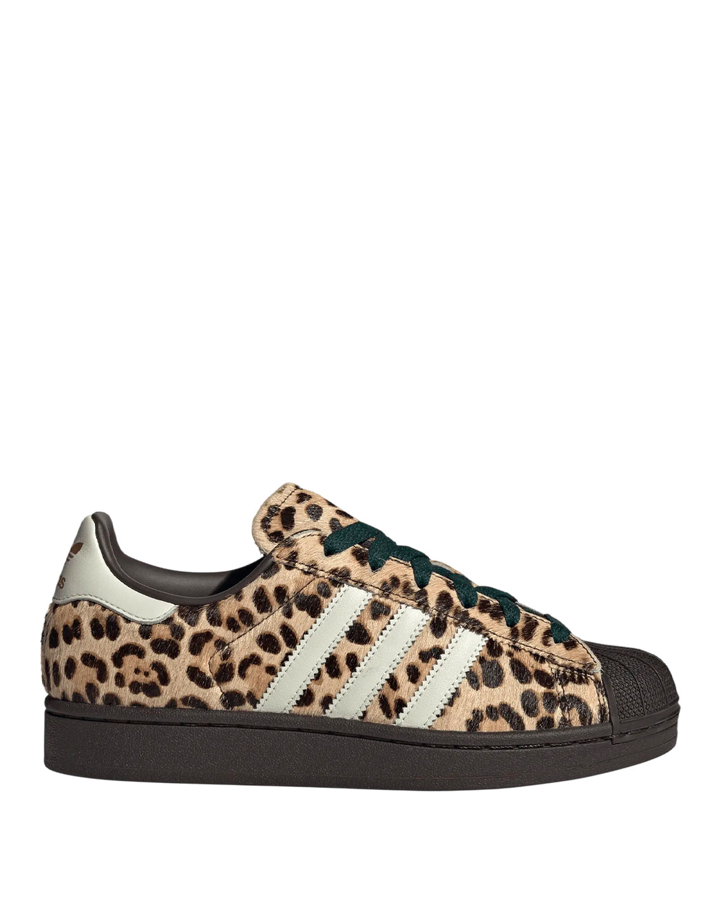 MARRONE