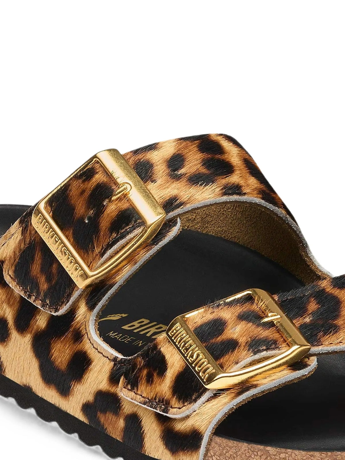 MARRONE