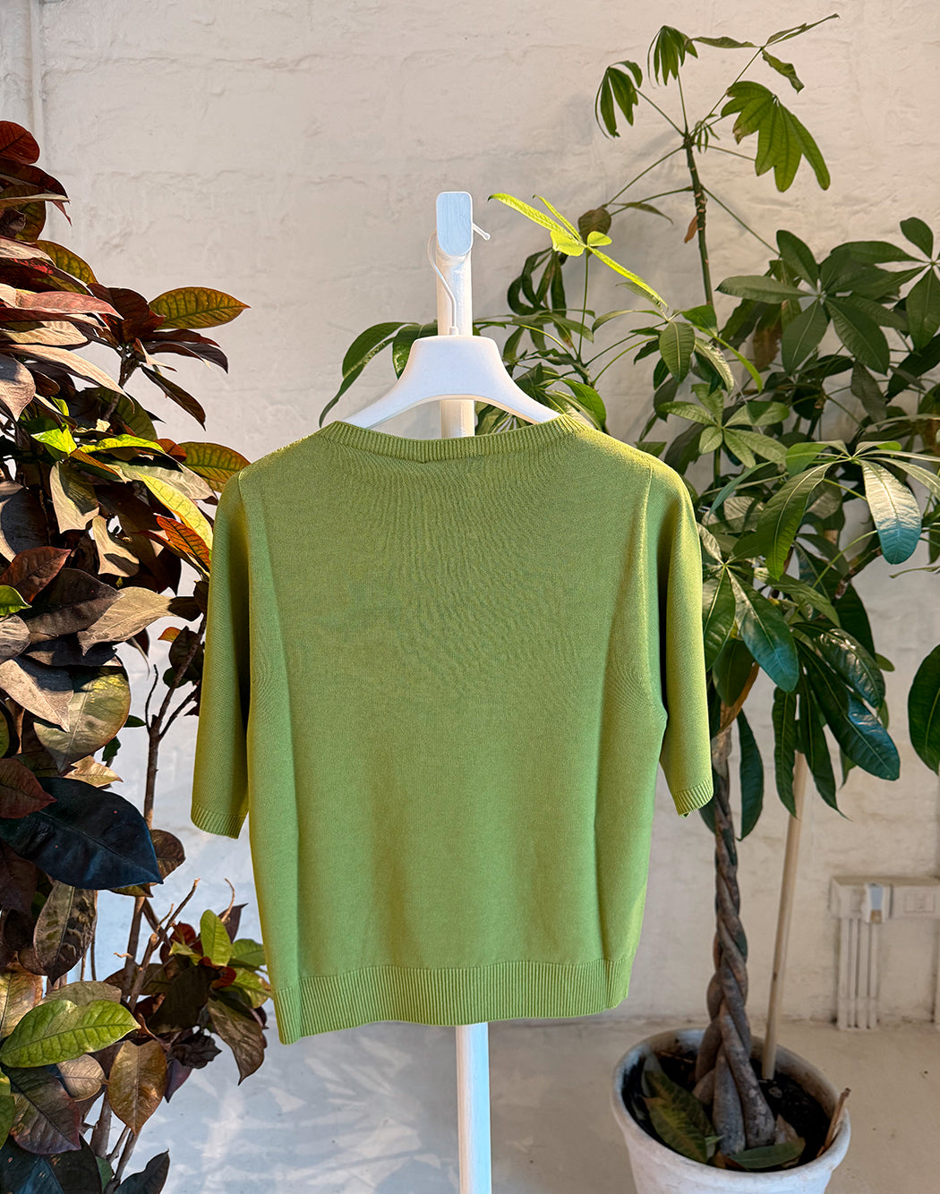 VERDE