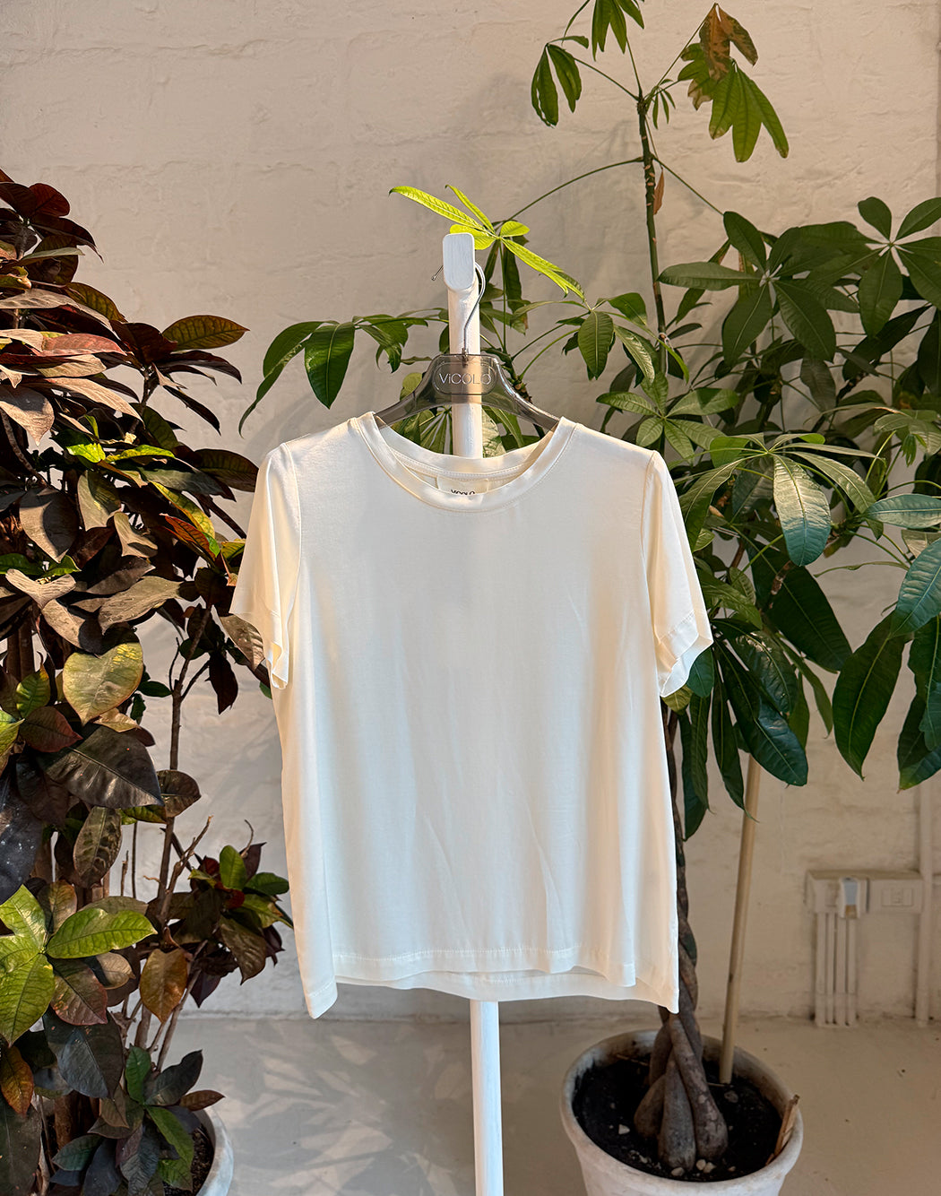 BIANCO