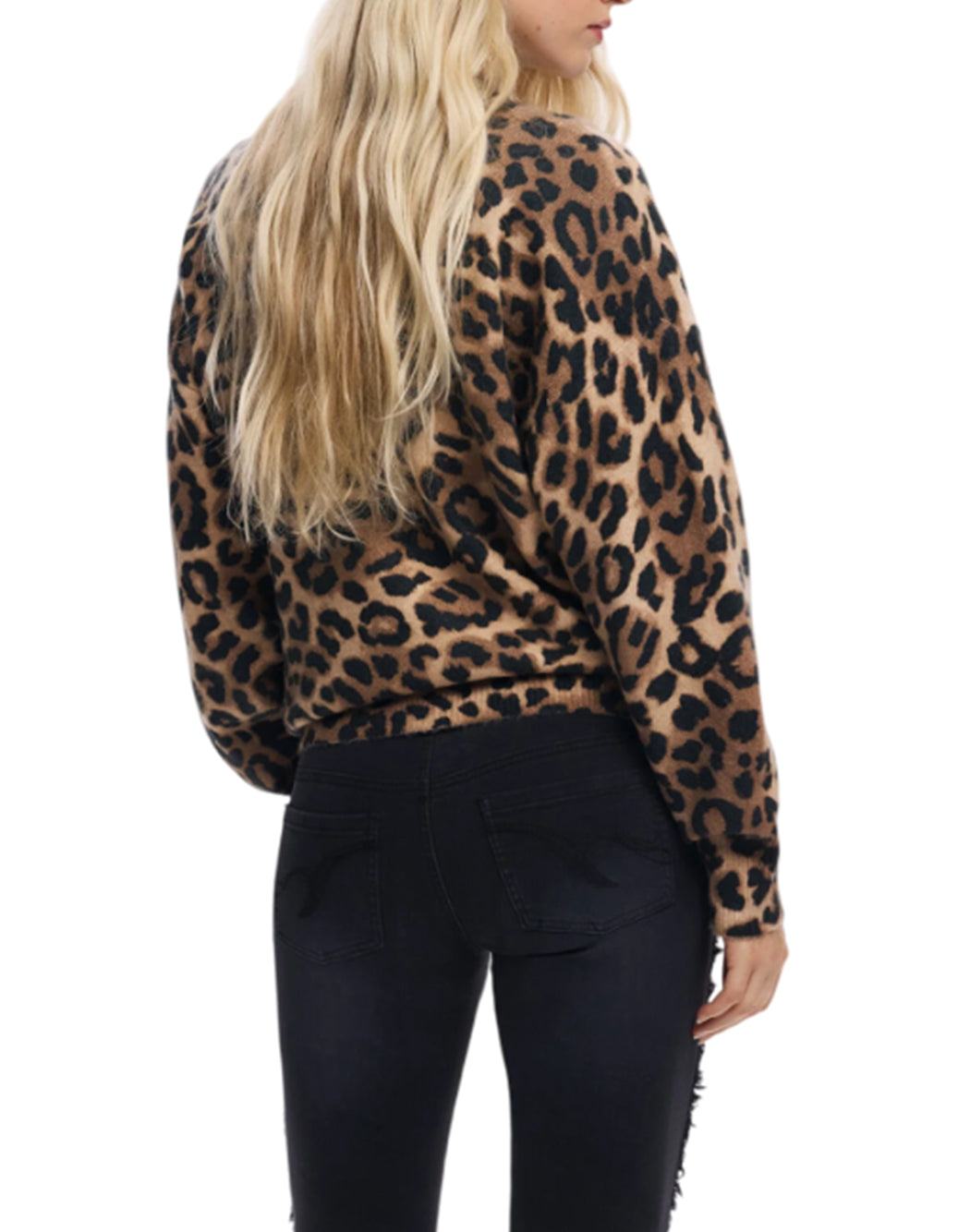 MARRONE